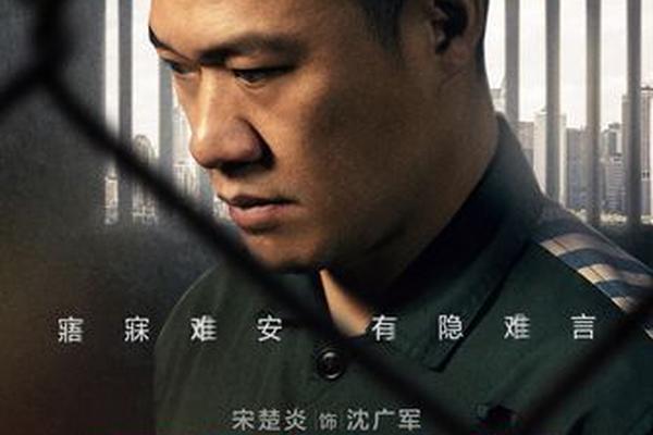 巡视组电视剧免费观看