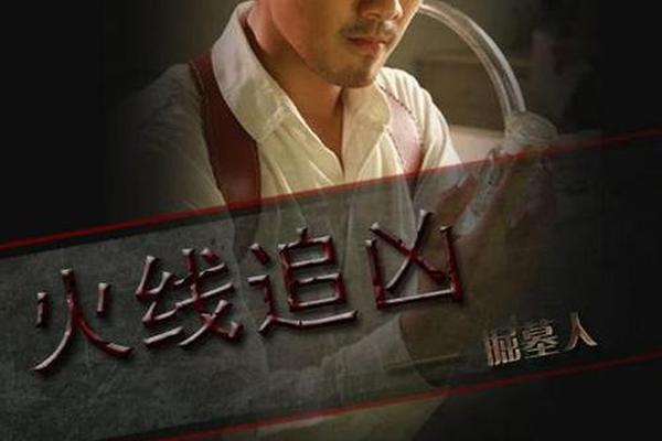 火线追凶系列