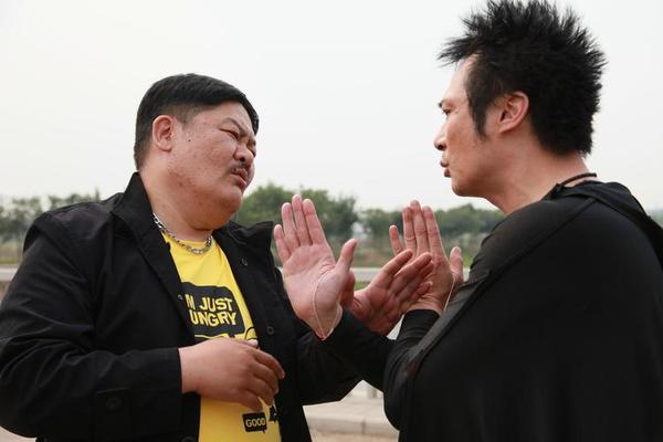 电影疯狂的蠢贼