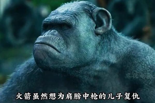 猿球崛起2