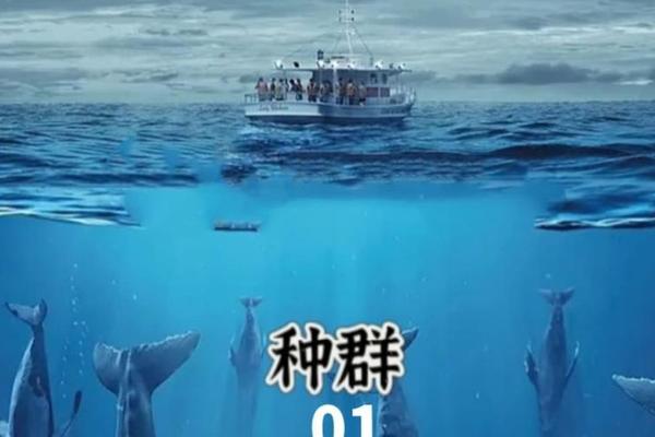 种群在线观看