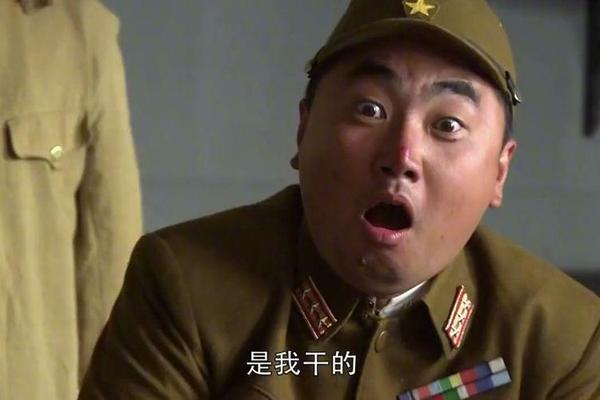 双枪李向阳第一部
