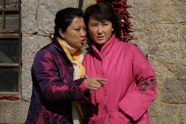 宝乐婶的烦心事电视剧