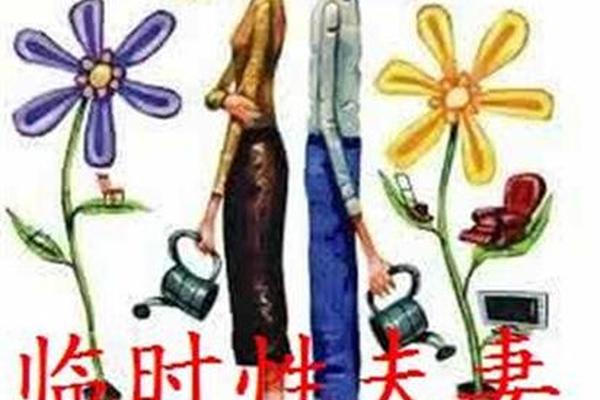 临时夫妻24集全免费