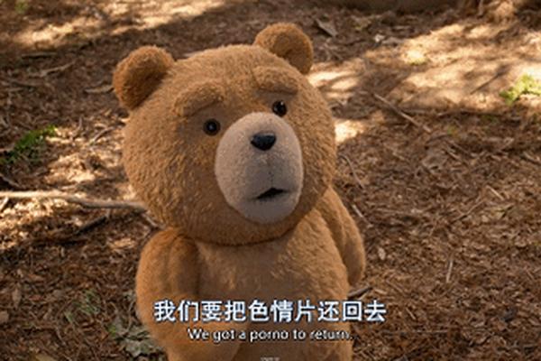 电影 泰迪熊