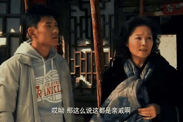 新上门女婿全集在线观看