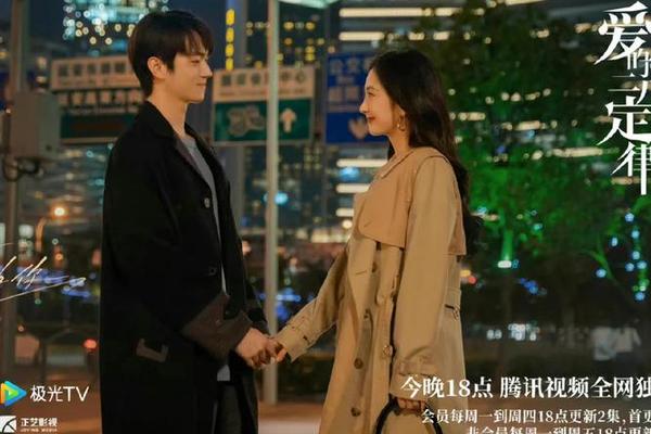 爱的二八定律免费全集电视剧