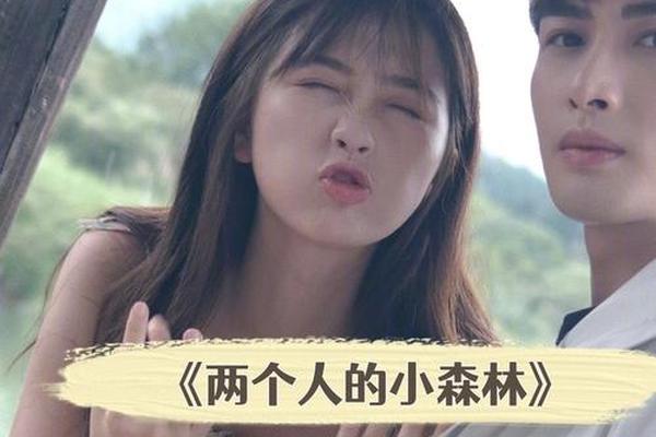 两个人的小森林电视剧高清免费观看