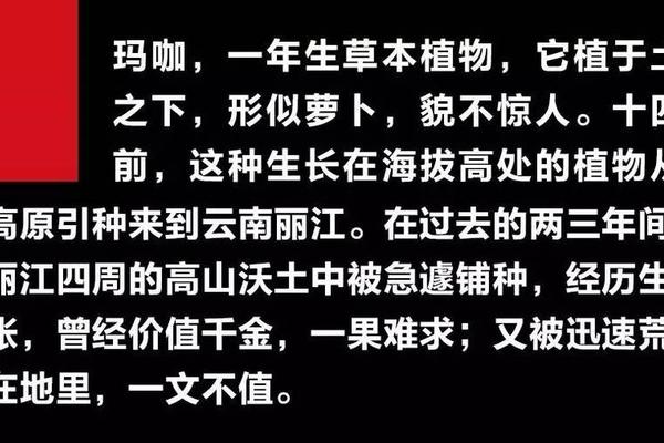 疯狂的果实