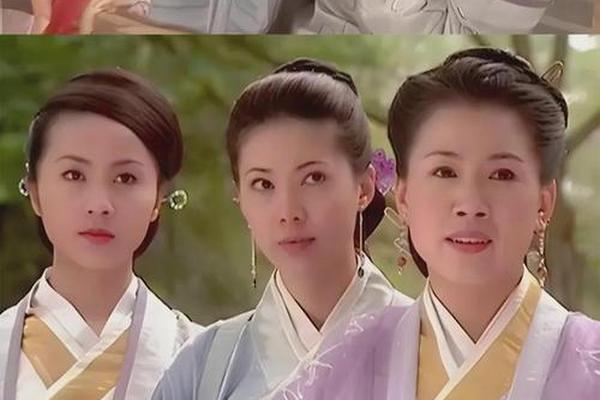 杨门女将皇城惊变