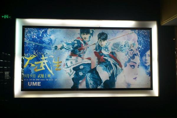 大武生最终票房