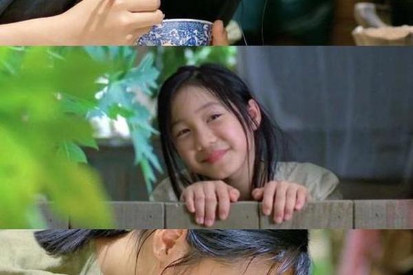 青木瓜之味 电影
