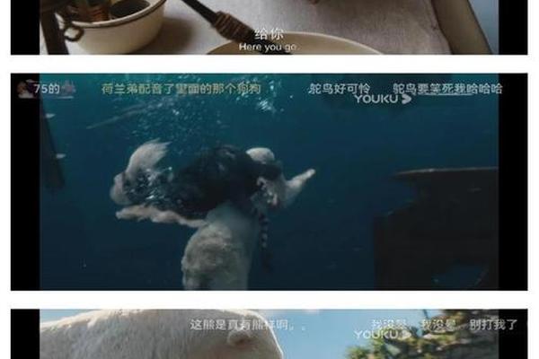 多力特的奇幻冒险