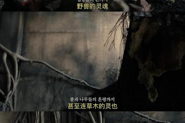 灵媒在线观看免费