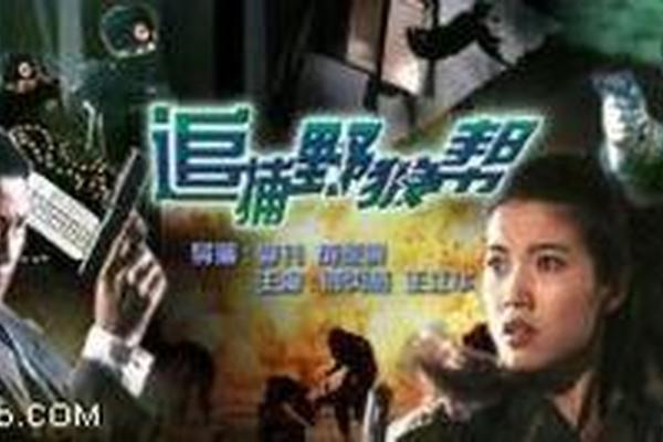 追捕野狼帮
