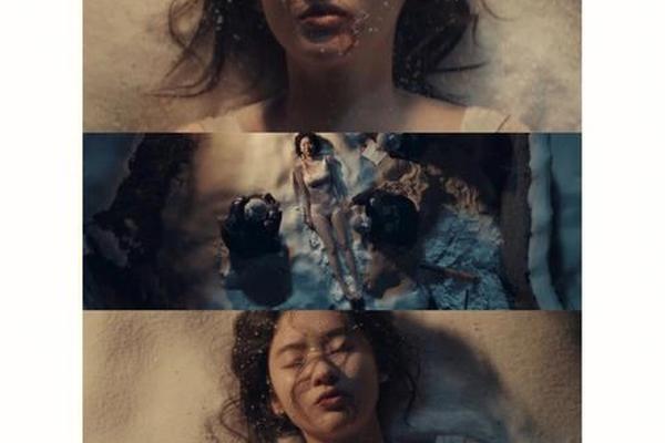 胆小鬼电视剧在线观看完整版