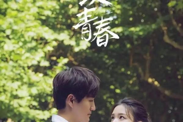 致我们终将逝去青春