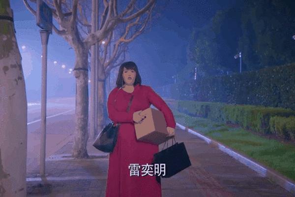 克拉恋人多少集