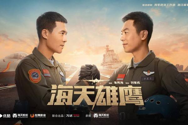 海天雄鹰电视剧在线观看