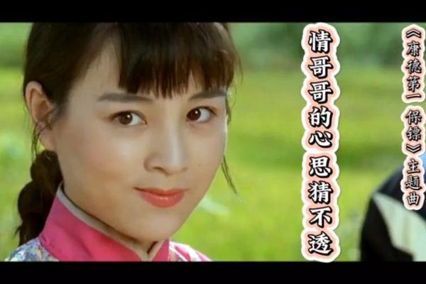 康德第一保镖传奇电视剧