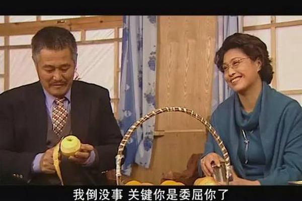 刘老根第2部