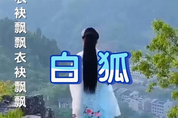 白狐 影音