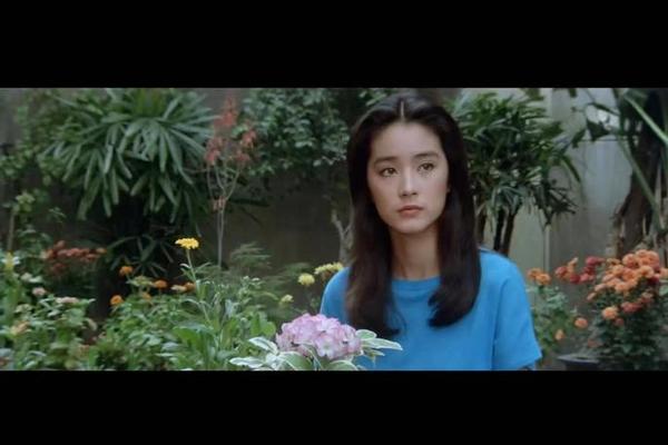 金盏花电影