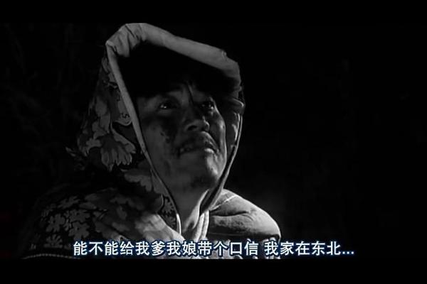 电影 鬼子来了