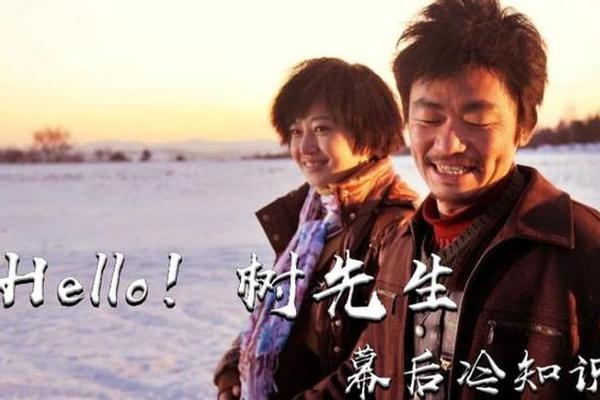 你好树先生