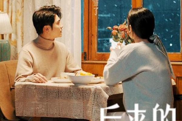 后来电视剧