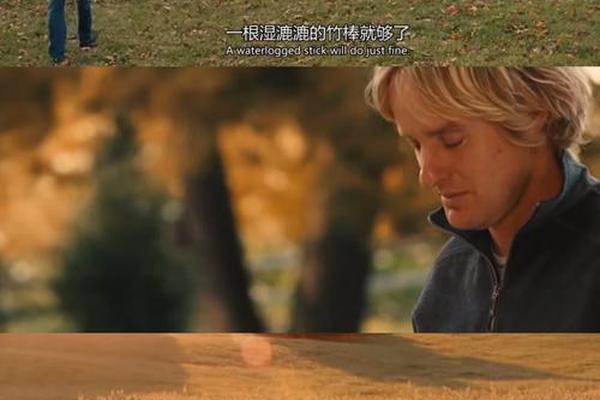 马力和我