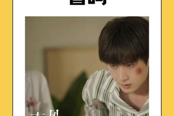 南风知我意42集免费观看西瓜视频