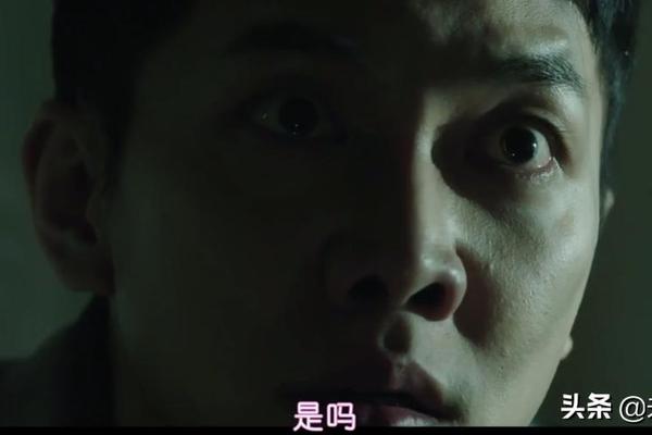 窥探第九集