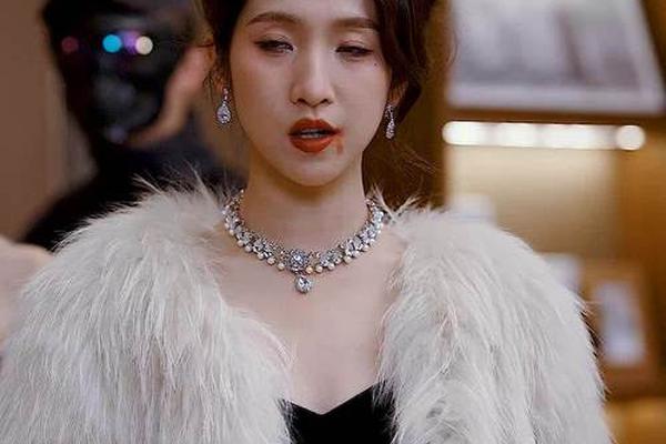 我的老婆是大佬2
