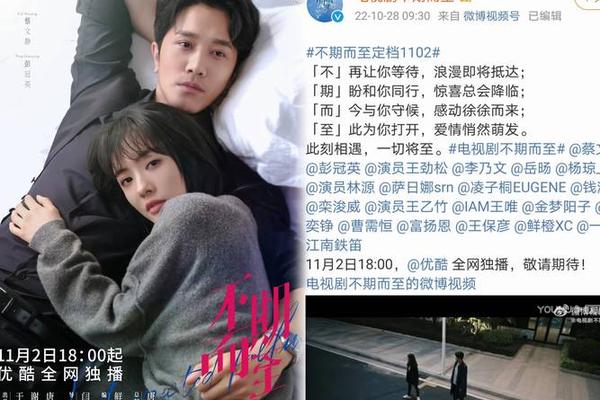 不期而至电视剧免费观看