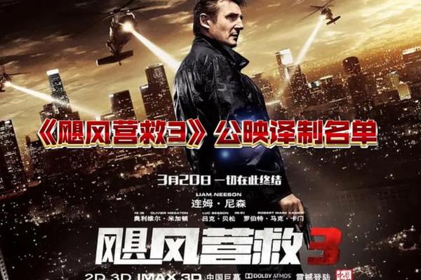 飓风营救3