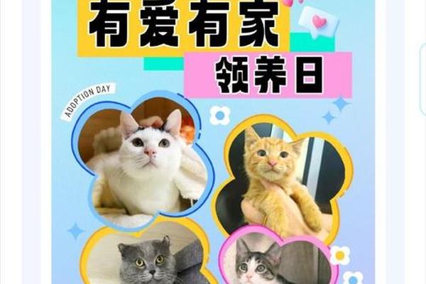 领养全集