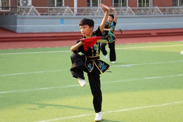 武术少年行