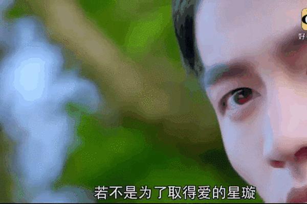 我的狐仙老婆电视剧