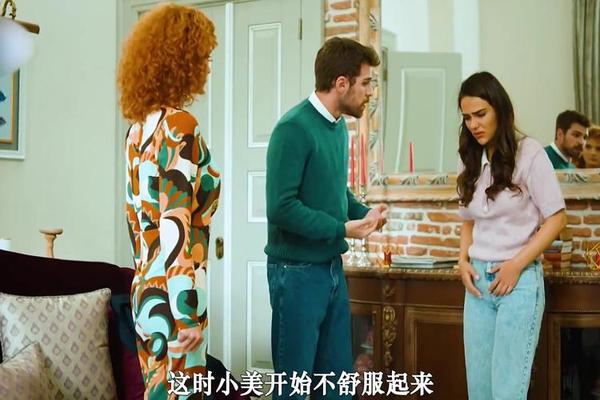 三朵金花土耳其电视剧在线观看