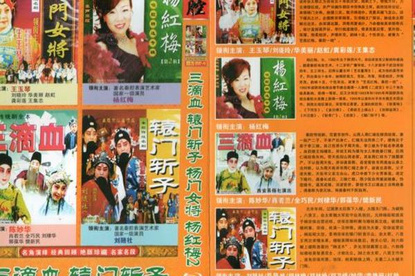 杨门女将辕门斩子