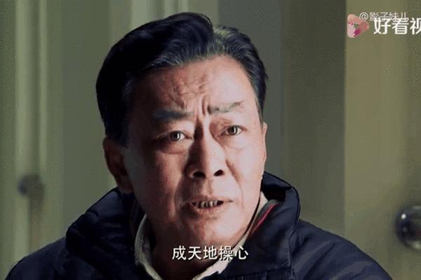新上门女婿全集