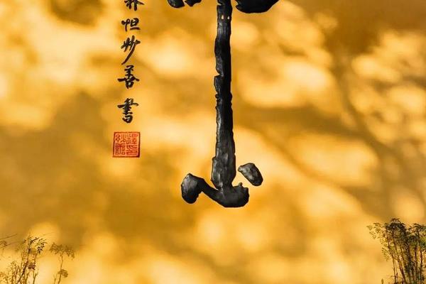为了这一片净土