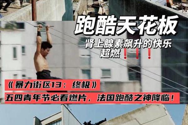 暴力街区13终极