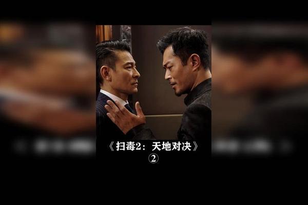 扫毒2-天地对决在线观看