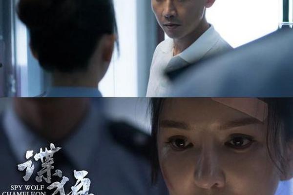 黑蚂蚁电视剧
