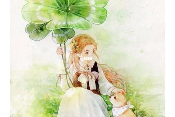 蜂蜜四叶草
