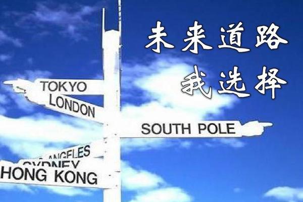 未来的选择