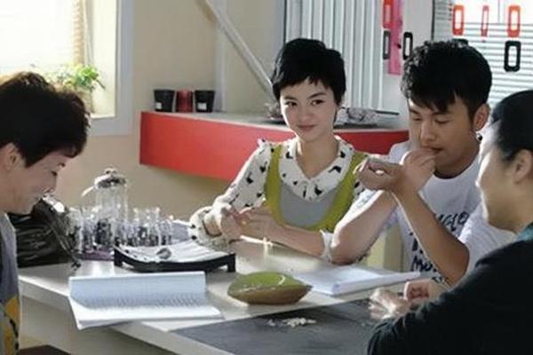 丈母娘来了电视剧免费版