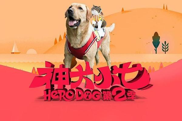 神犬小七第二季
